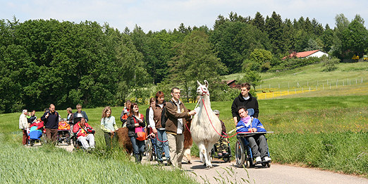 Foto: Alle inklusive! Wandern mit dem Rollstuhl in Baden-Wrttemberg