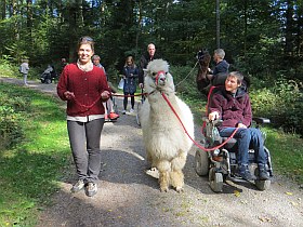 Gemeinsam unterwegs